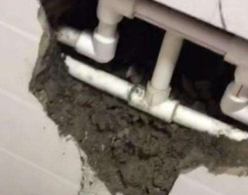 晋州卫生间漏水哪家好